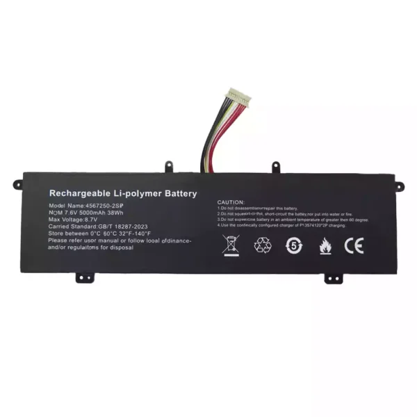筆電 電池 適用於 4567250-2SP